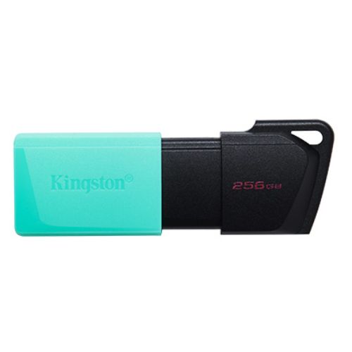 Memoria USB Kingston 256GB 3.2 Gen 1 Exodia DTXM/256GB