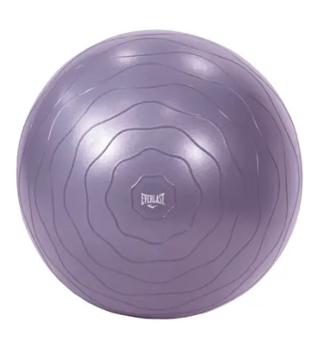 Bola de Ejercicio Everlast 75CM EVYB3W175