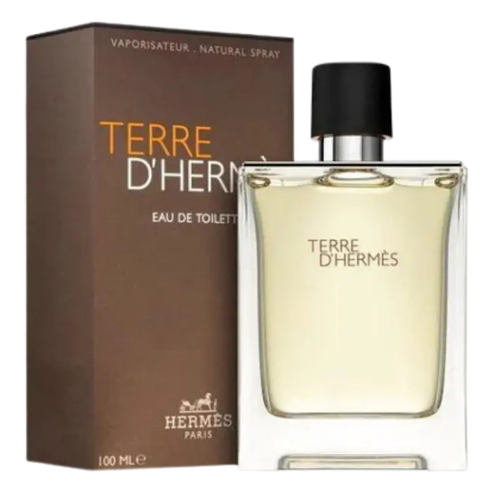Colonia Hermes Terre D'Hermes EDT 100ml Hombre