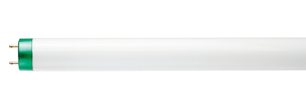 TUBO FLUORESCENTE 32W T8 4100K