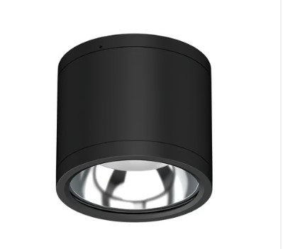 Lámpara Plafón LED Techo 25 W, Luz Blanca Configurable, IP65, IK08, Interior y Exterior, LED integrado