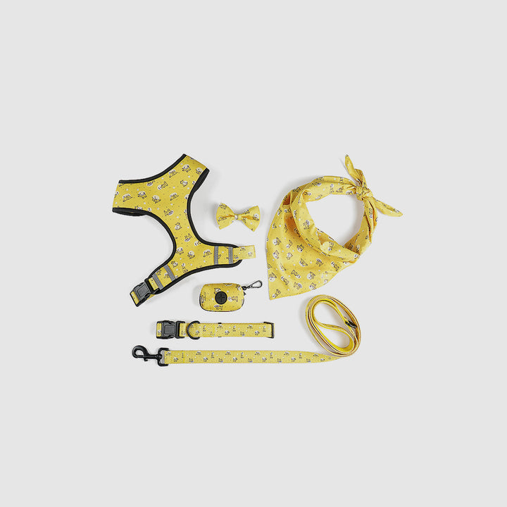 Set de arnés amarillo S SH03
