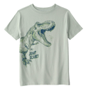 Camiseta dinosaurio verde para niño 🦖💚