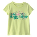 Blusa estampada de flamencos para niña