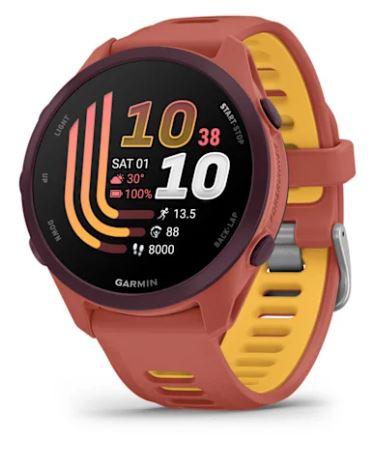 SmartWatch Garmin Forerunner 170 Music 42mm Red Pink/Mango 010-03920-13