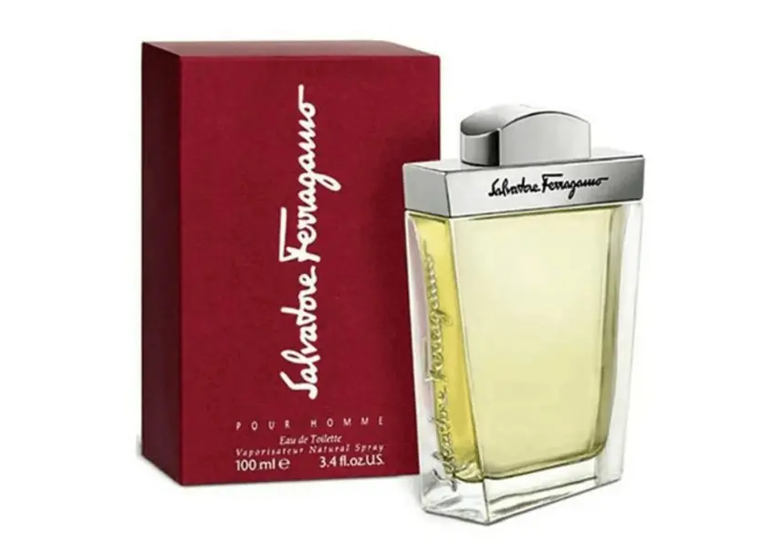 Colonia Salvatore Ferragamo F EDT 100ml Hombre