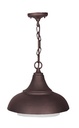 EXTERIOR SUSPENDIDOS S/L100-240VE27