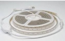 Manguera plana Led's IP45 127V Silicón LD con adaptador